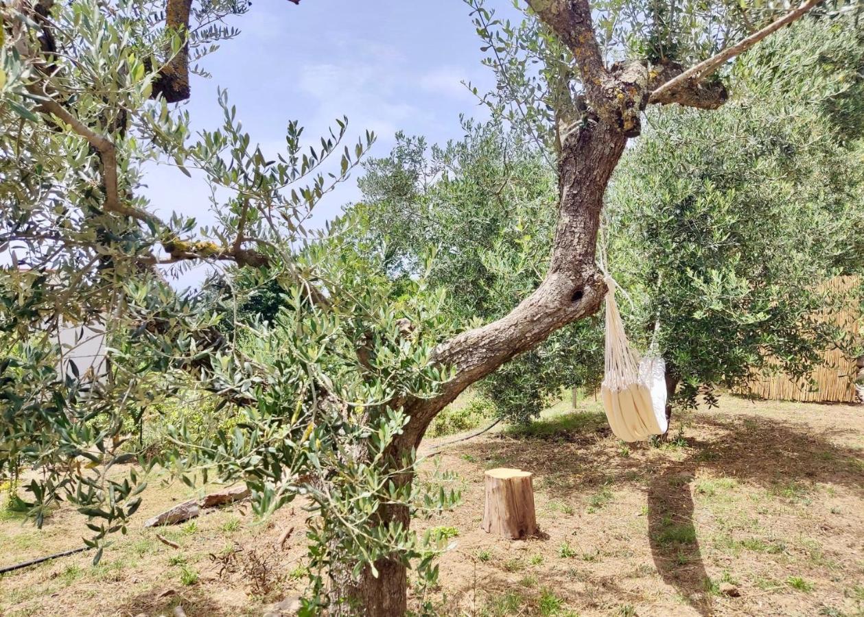 サンタガータ・スイ・ドゥエ・ゴルフィ Nostos Casale Bed & Breakfast エクステリア 写真